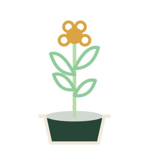 La matica, la planta de CalParce, en flor